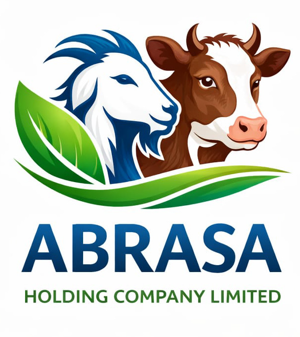 Abrasa Holding Company Limited Logo
